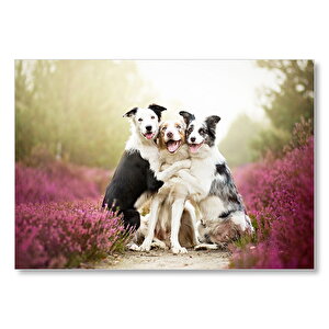 Gülerek Poz Veren Sevimli Köpekler Ve Çiçekler Mdf Ahşap Tablo 35x50 cm