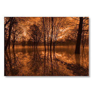 Sonbaharda Kızıl Gökler Ve Çıplak Ağaçlar Mdf Ahşap Tablo 50x70 cm