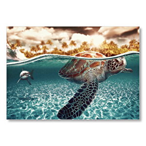 Caretta Ve Büyük Beyaz Köpek Balığı Mdf Ahşap Tablo 50x70 cm