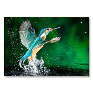 Havalanan Sinekkuşu Ve Su Damlacıkları Mdf Ahşap Tablo 25x35 cm