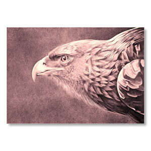 Karakalem Kartal Başı Yakın Plan Mdf Ahşap Tablo 35x50 cm