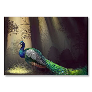 Ormandaki Yalnız Tavuskuşu Ve Ağaçlar Mdf Ahşap Tablo 25x35 cm