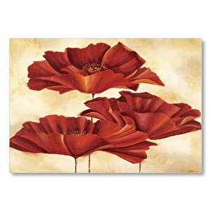Sarı Zeminde Üç Kırmızı Gelincik Mdf Ahşap Tablo 50x70 cm