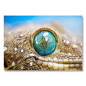Geko Kertenkelesi Gözü Makro Çekim Mdf Ahşap Tablo 50x70 cm