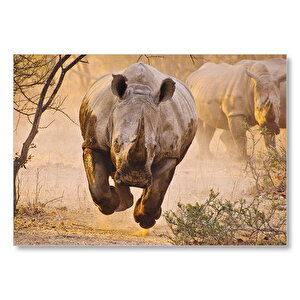 Hücum Halindeki Gergedan Ve Arkada Ailesi Mdf Ahşap Tablo 25x35 cm