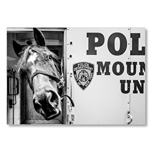 New York Polis Departmanı'nın Emektar Üyesi Mdf Ahşap Tablo 50x70 cm