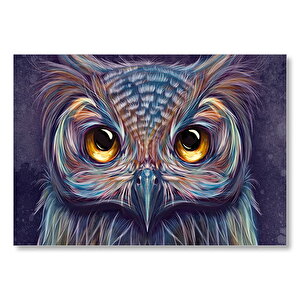 Baykuş Gözler Yakın Plan İllüstrasyon Mdf Ahşap Tablo 50x70 cm