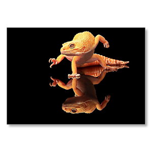 Geko Kertenkelesi Cam Zeminde Karanlık Arka Plan Mdf Ahşap Tablo 25x35 cm