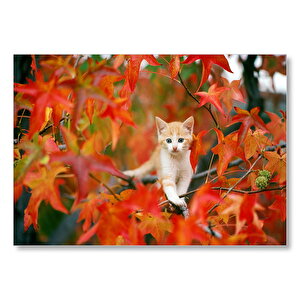 Sonbaharda Çınar Yaprakları Arasındaki Yavru Kedi Mdf Ahşap Tablo 50x70 cm