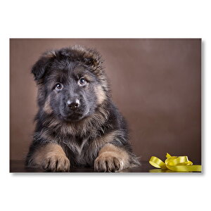 Siyah Yavru Çoban Köpeği Ve Sarı Kurdele Mdf Ahşap Tablo
