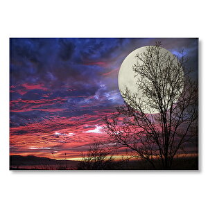 Kızıl Bulutlu Gökler, Çıplak Ağaçlar Ve Süper Ay Mdf Ahşap Tablo 50x70 cm