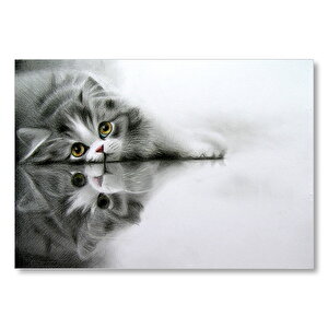 Cam Zeminde Sevimli Yavru Kedi Çizim Mdf Ahşap Tablo 50x70 cm