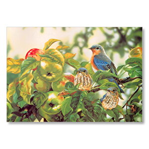 Dallarda Elmalar Ve Renkli Kuşlar Mdf Ahşap Tablo 50x70 cm