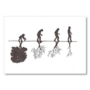 İnsanın Ve Doğanın Evrimi Mdf Ahşap Tablo 50x70 cm