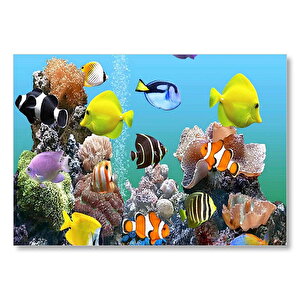 Deniz Akvaryumu Ve Rengarenk Balıklar Mdf Ahşap Tablo 50x70 cm