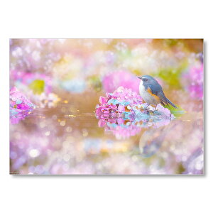 Göldeki Pembe Çiçeklerin Üzerindeki Mavi Kuş Mdf Ahşap Tablo 50x70 cm
