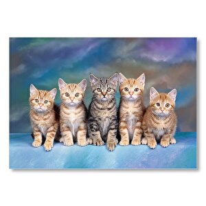 Dört Yavru Sarmanın Arasındaki Tekir Mdf Ahşap Tablo 25x35 cm