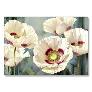 Kırmızı Beyaz Kasımpatı Çiçekleri Mdf Ahşap Tablo 50x70 cm