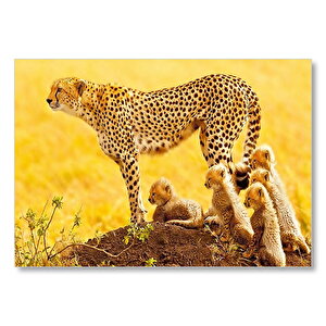 Atletik Çita Ve Sevimli Yavruları Mdf Ahşap Tablo 50x70 cm