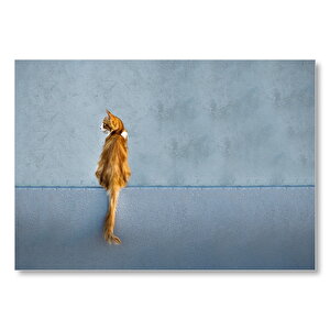 Mavi Duvar Önündeki Sarı Kedi Mdf Ahşap Tablo 50x70 cm