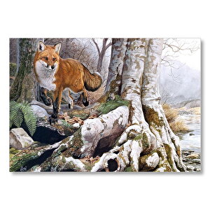 Ormandaki Yaşlı Ağaç Ve Kahverengi Tilki Mdf Ahşap Tablo 50x70 cm