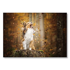 Rüzgarla Kavga Eden Köpekçik Mdf Ahşap Tablo 35x50 cm