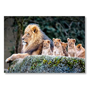 Kayanın Üzerinde Erkek Aslan Ve Sevimli Yavruları Mdf Ahşap Tablo 25x35 cm