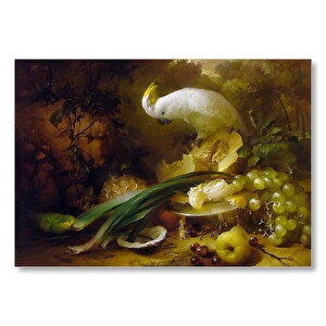 Beyaz Papağan Ve Taze Meyveler Mdf Ahşap Tablo 35x50 cm
