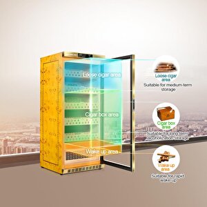 Raching Elektronik Puro Dolabı Gold Mon1800a
