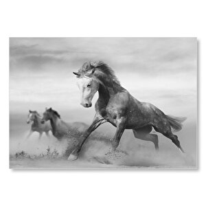 Fırtınada Koşan Atlar Görseli Mdf Ahşap Tablo 35x50 cm