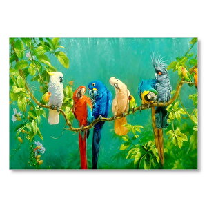 Daldaki Renkli Papğanlar Görseli Mdf Ahşap Tablo 35x50 cm