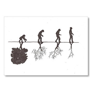 İnsanın Ve Doğanın Evrimi Mdf Ahşap Tablo 35x50 cm