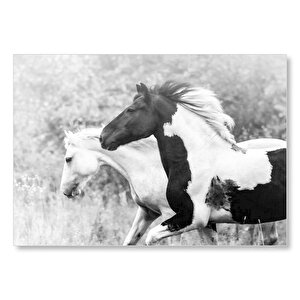 Koşan Siyah Beyaz Atlar Görseli Mdf Ahşap Tablo