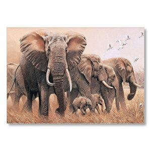 Doğada Fil Ayleleri Kuşlar Görseli Mdf Ahşap Tablo 50x70 cm