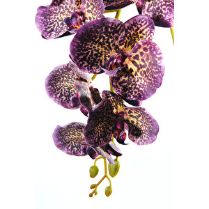 Yapay Çiçek Gerçek Dokulu Lux Mor Orkide Dalı Mor