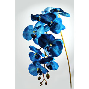 Yapay Çiçek Gerçek Dokulu Lux Mavi Orkide Dalı