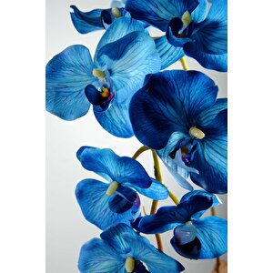 Yapay Çiçek Gerçek Dokulu Lux Mavi Orkide Dalı Mavi