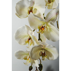 Yapay Çiçek Gerçek Dokulu Lux Beyaz Orkide Dalı Beyaz