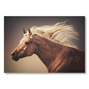 Kahve Rengi At Görseli Mdf Ahşap Tablo 50x70 cm