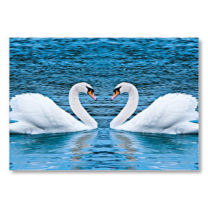 İki Beyaz Kuğu Kalp Şekli Mdf Ahşap Tablo 50x70 cm