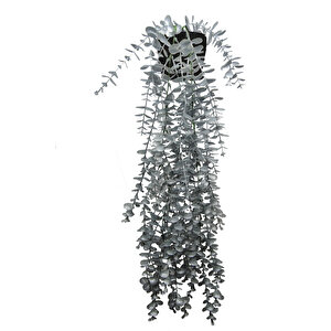 Yapay Çiçek Maxi Boy Siyah Saksılı Gümüş Okaliptus Sarkıtı