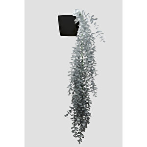 Yapay Çiçek Maxi Boy Siyah Saksılı Gümüş Okaliptus Sarkıtı
