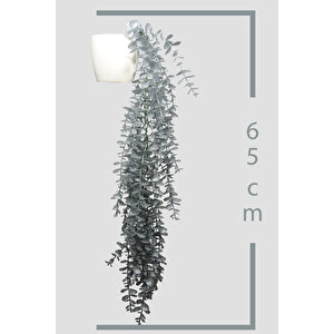 Yapay Çiçek Maxi Boy Beyaz Saksılı Gümüş Okaliptus Sarkıtı