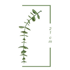 Yapay Çiçek Diy Elmas Saksı İçerisinde Sarkan Okaliptus 2'li Set