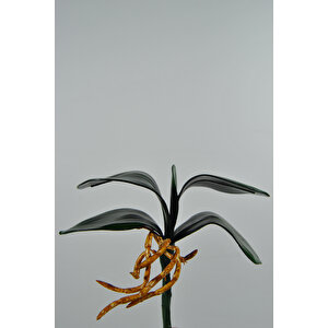 Yapay Çiçek Orkide Yaprağı