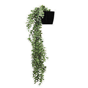Yapay Çiçek Maxi Boy Siyah Saksılı Pastel Yeşili Okaliptus Sarkıtı