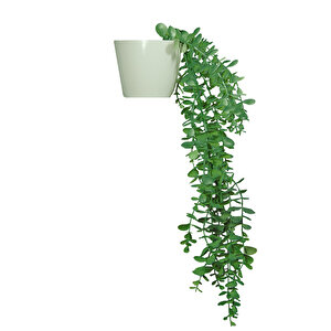 Yapay Çiçek Parlak Beyaz Saksıda Yeşil Okaliptus Sarkıtı