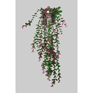 Yapay Çiçek Metal Saksıda Çakıl Taşı Detaylı Pembe - Yeşil Okaliptus Sarkıtı