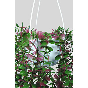 Yapay Çiçek Beyaz Sarkan Sepet İçerisinde Çakıl Taşı Detaylı Yeşil-pembe Okaliptus Sarkıtı