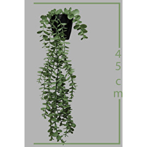 Yapay Çiçek Siyah Elmas Saksıda Tek Dal 17 Yapraklı Pastel Yeşil Okaliptus Sarkıt